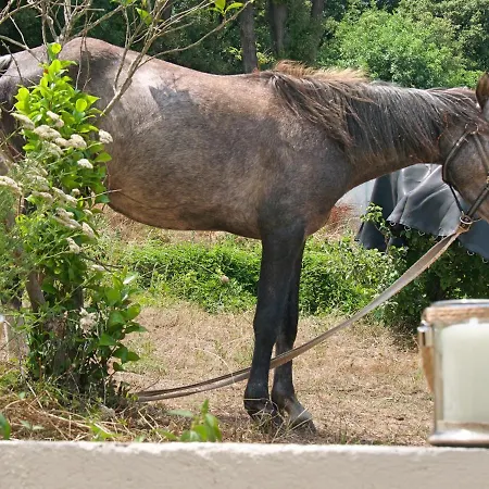 De La Tour Appartement *