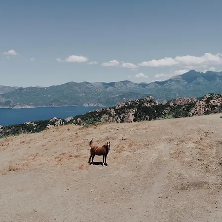 Daire De La Tour Piana (Corsica)