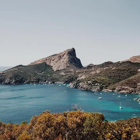 Lägenhet De La Tour *