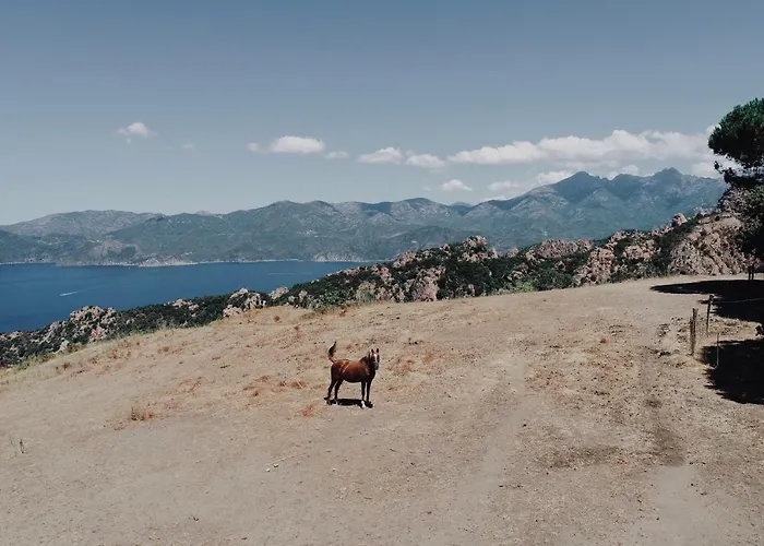 Appartamento De La Tour Piana (Corsica)