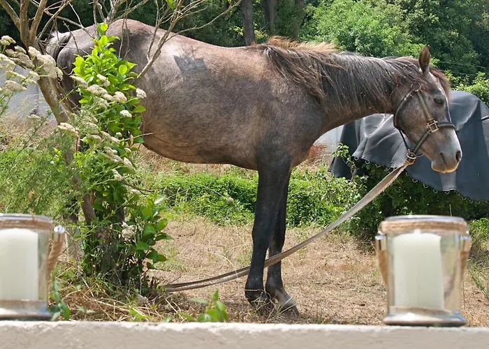 De La Tour Apartman *